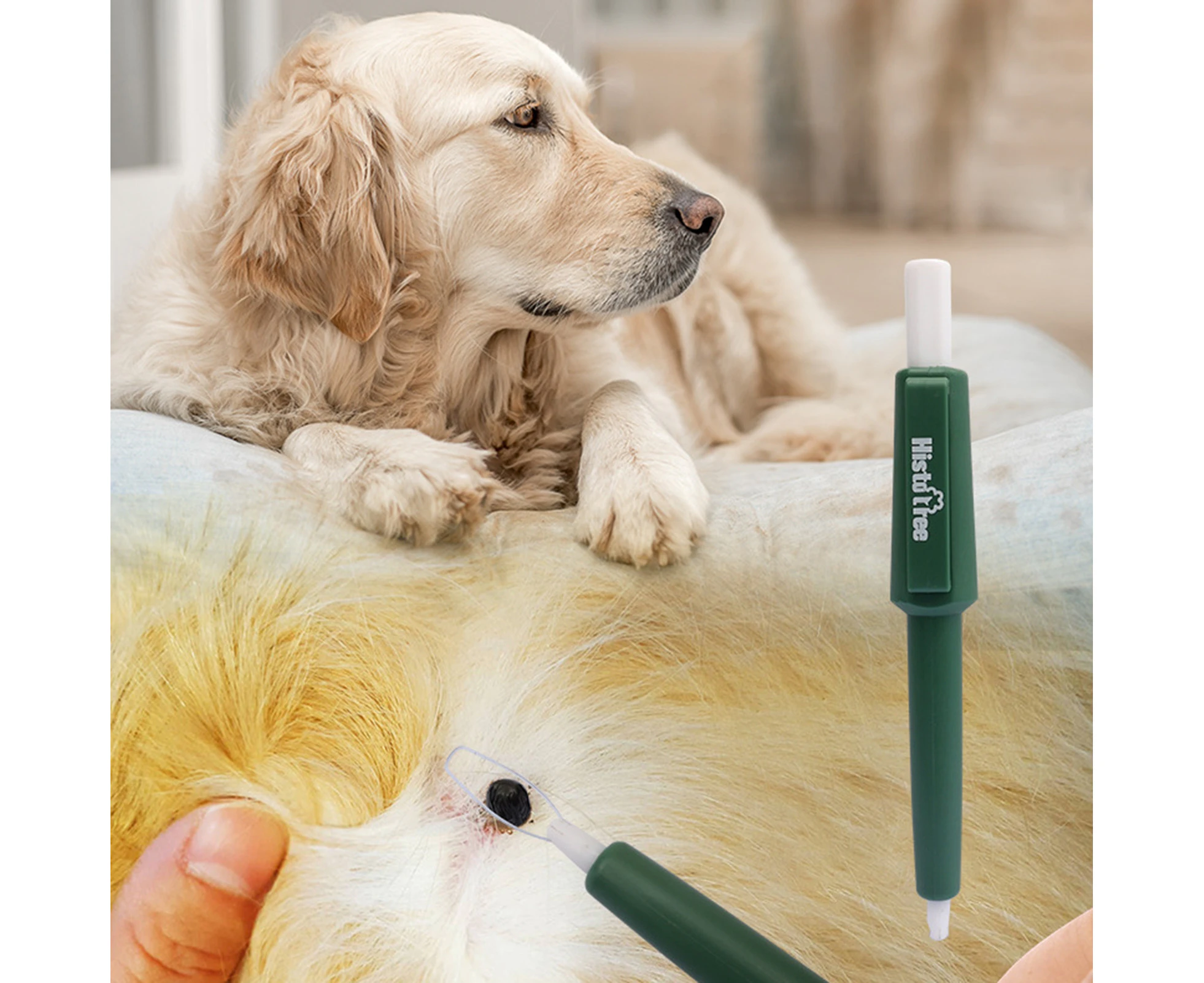 Kbu Flea Clip Ergonomics Handle Solid Convenient Safe Simple Operation Removing Ticks Lightweight Pack Tick Removal Tool Flea Pen for Puppy-Green - Green