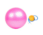 65cm Explosion-proof Thicken Fitness Yoga Spiky Massage Ball with Inflator Pump - Pink