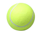 24cm Durable Inflatable Rubber Dog Tennis Ball Pet Catching Game Training Toy