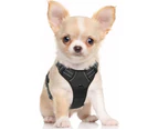 Dog Harness, Anti-Pull Pet Harness with 2 Leash Clips, Adjustable Soft Padded Dog Vest, Reflective Oxford Pet Vest Outdoor with Easy Control Handle