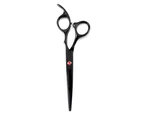 6 Inch Hair Cutting Shears Kids  Hair Scissors for Salon, Barbers, Children, and Home Usage
