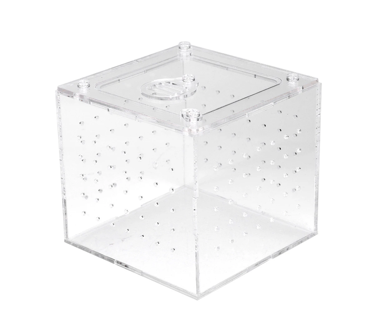 1Pc Reptile Terrarium Feeder Snakes Spider Lizard Breeding Acrylic Box Case Insects House