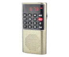 Bluebird L-328 FM Radio Multifunctional Rechargeable Portable USB TF MP3 Player Handheld Speaker for Outdoor-Golden