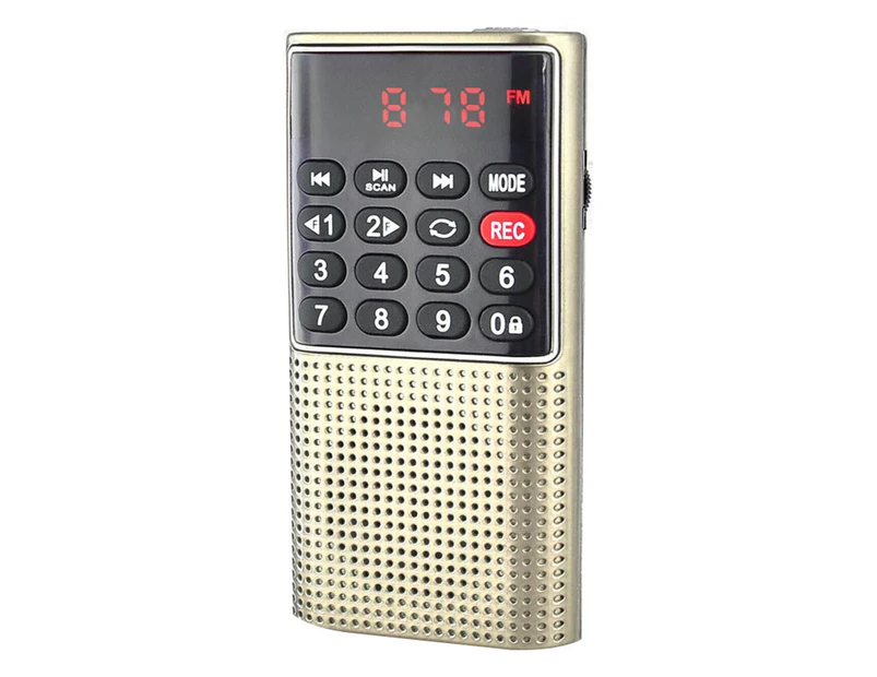 Bluebird L-328 FM Radio Multifunctional Rechargeable Portable USB TF MP3 Player Handheld Speaker for Outdoor-Golden