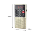 Bluebird L-328 FM Radio Multifunctional Rechargeable Portable USB TF MP3 Player Handheld Speaker for Outdoor-Golden