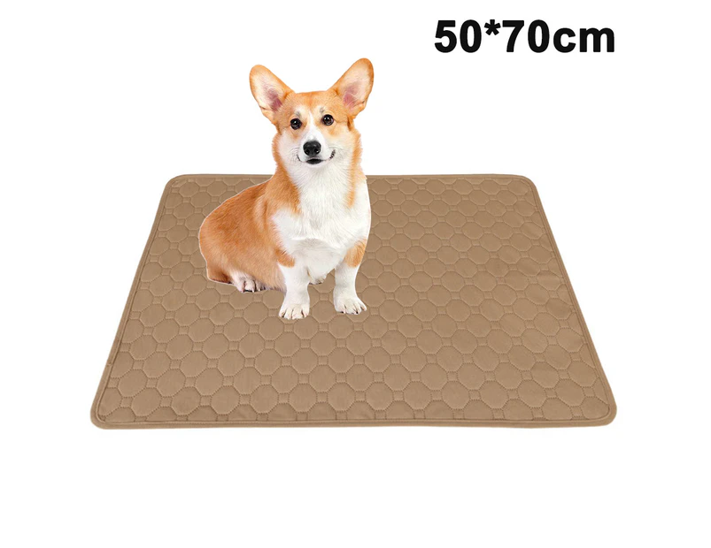 Corners Of Dog And Puppy Training Platforms Washable, Reusable Hygienic Bed Trays