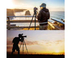 Canon Nikon Sony Camera Tripod, Light Travel Tripod With Portable Bag, Aluminum Professional Camera Tripod For Dslr/Slr - Black