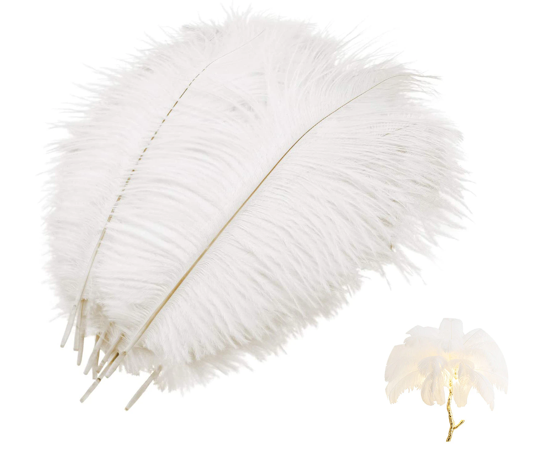 10 Pcs Natural Ostrich Feathers, Ostrich Feather Plume For Wedding Party Festival Table Centerpiece Decoration (White, 25-30Cm)