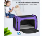Pet Carrier For Small Medium Cats Dogs Puppies Of 15 Lbs, Airline Approved Small Dog Carrier Soft Sided, Collapsible Puppy Carrier - Black Gray Pink Purple