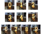 Luminous Led Digital Number Lights, Interior Lights, Letter Lights, Decoration Lights - Style 3