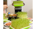 2 pcs Seed Sprouter Tray with Lid BPA Free Bean Sprout Grower Sprouting Seeds Tray