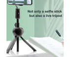 Dandelion Adjustable Foldable Retractable Hand Held Selfie Stick Smartphone Tripod-A