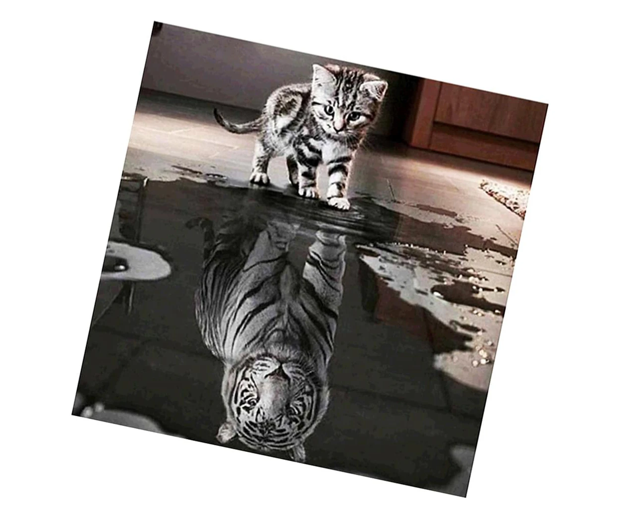 30*30Cm Diamond Painting Diy 5D Diamond Painting Rhinestone Pictures Crafts For Decoration + Tools, Cat And Tiger