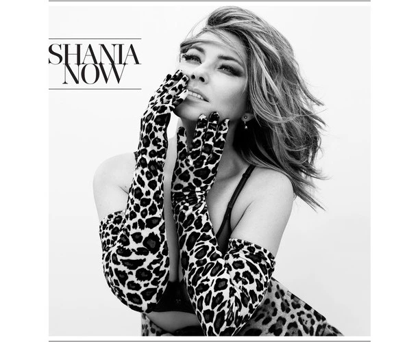 Shania Twain - Now  [COMPACT DISCS] USA import