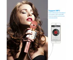 Wireless Bluetooth Karaoke Microphone For Kids,Kids Karaoke Machine Portable Handheld Mic Speaker Toy Home Party Birthday Graduation For Iphone Android Ipa