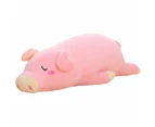 Nice Pig Doll Toy Sleeping Hug Pillow For Preschooler,35Cm/13.8''