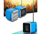 Bluebird TDV26 Mini Subwoofer Stereo Speaker TF Card FM Radio Music Player with Antenna-Black