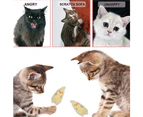 5pcs catnip toy cat toy indoor cat kitten toy interactive cat toy kitten molar toy style5