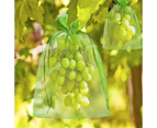 50X Fruit Net Bags Agriculture Garden Vegetable Protection Mesh Insect Proof-20x30cm