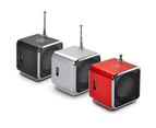 Bluebird TDV26 Mini Subwoofer Stereo Speaker TF Card FM Radio Music Player with Antenna-Red