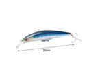 120mm/45g Fishing Lure Streamlined - A