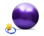 Extra Thick Yoga Ball Exercise Ball, 65CM Soft Pilates Ball, Exercise Ball, Mini Barre Ball, Gym Ball - Perfect for Yoga