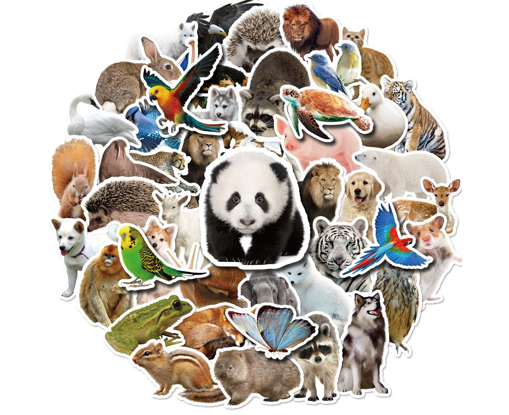 50Pcs DIY Sticker Waterproof Anti-fading Self-Adhesive PVC Cute Zoo Series Wild Animals Sticker Laptop Bottle Decal School Accessories