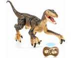 Remote Control Dinosaur Toys for Kids Boys Girls, Electronic Realistic RC Dinosaur Velociraptor Dragon, Dinosaur Toy Gifts