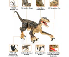 Remote Control Dinosaur Toys for Kids Boys Girls, Electronic Realistic RC Dinosaur Velociraptor Dragon, Dinosaur Toy Gifts