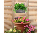 Wall Hanging Wood Planter Boxes | Plant Pot Holder Rustic Farmhouse Succulent Planter Flower Pot Cactus Bonsai Herb Basket Holder Gray 22*22*11cm