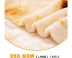 Burritos Blanket, Tortilla Throw Blanket, Novelty Tortilla Blanket For The Family, Cozy Flannel Taco Blanket - 120CM