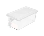 Rectangular Food Storage Container with Handle PP Refrigerator Fruit Storage Box for Home-White