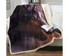 Throws Couples Size: 200cm x 200cm Untamed Wild Horse