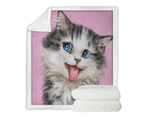 Throws Couples Size: 200cm x 200cm Beautiful Cats Blue Eyes Grey White Furry Kitten