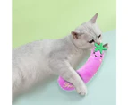 3pcs Cat toys indoor cats catnip toys interactive cat toys interactive kitten toys style2