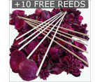 Highly Scented REED DIFFUSER OIL REFILL + 10 FREE STICKS 50ml 100ml 250ml 500ml(Black Raspberry & Vanilla)