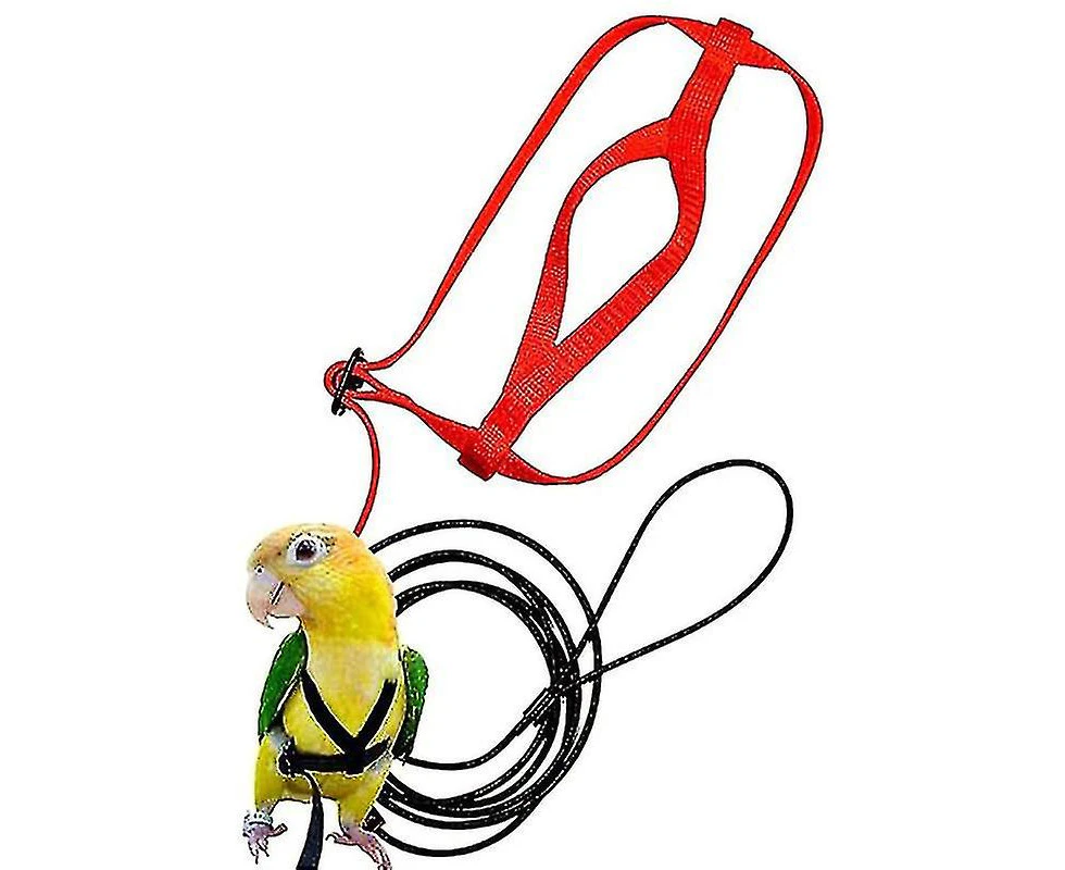 Parrot Bird Harness Adjustable Training Rope