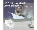 Elevated Cat Bowls, Tilted Raised Cat Food Bowl Anti-Vomiting,Cat Bowls for Protecting Spine-style5