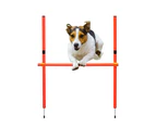 Premium Dog Agility Training Equipment Set Set 2