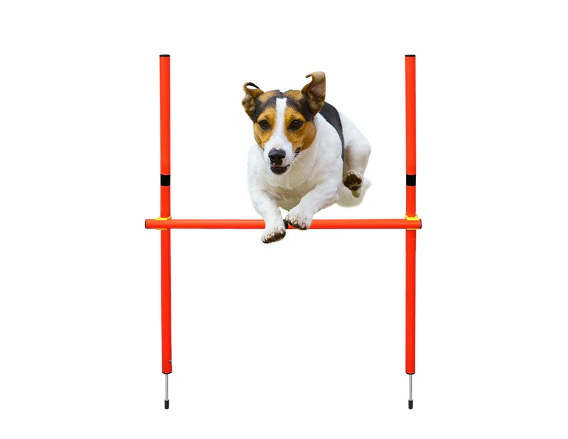 Premium Dog Agility Training Equipment Set Set 2