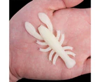 5Pcs 3.5g Fish Lure Bait Life-like Tempting Vivid Simulation White Lobster Shape Soft Lure for Angling - White