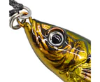 30/40/60g Fish Lure Bait Strong Penetration Sharp Vivid 3D Simulation Three-dimensional Fishing Bait for Angling - A