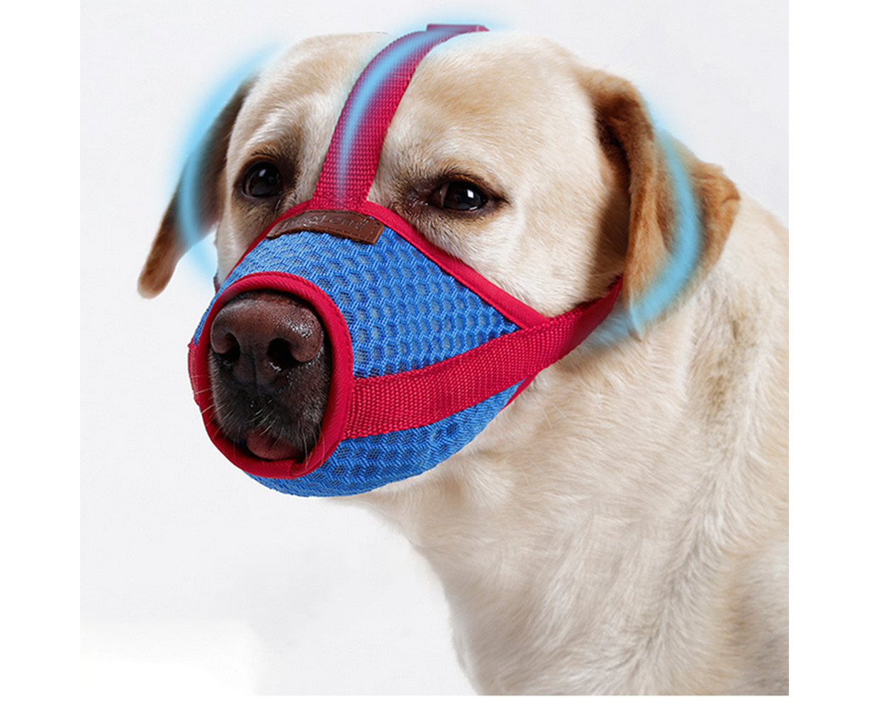 Puppy muzzle best sale