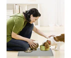 Pet Mat, Silicone Pet Food Mat with Raised Edges to Prevent Spills, Waterproof Non-Slip gray
