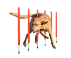 Premium Dog Agility Training Equipment Set Set 3