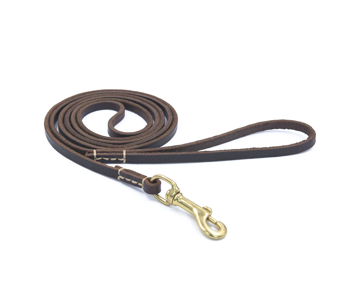 Dog/Puppy Obedience Recall Training Agility Lead - Training Leash - Great for Training, Play, Camping, or Backyard 180cm*0.8cm,Brown