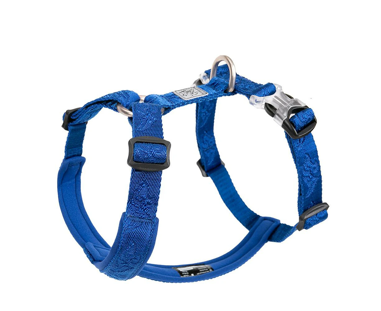 Trail Runner No Pull Dog Harness - Blue