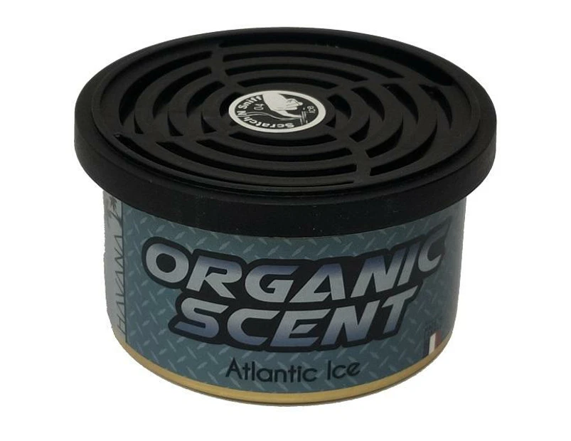 Premium Organic Scent Car Air Fresheners - Atlantic Ice