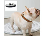 Leather Dog Collar, Padded, Comfortable, Strong for Pups, Small, Medium, Large, X- Large Dog Breeds White XS