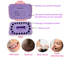 Baby Tooth Storage Box Is Pink, And Pp Child Tooth Storage Box Is Used To Preserve Children'S Memory.